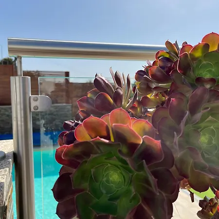 Fonte Retreat - Jacuzzi And Heated Swimming Pool Holiday home Sandim
